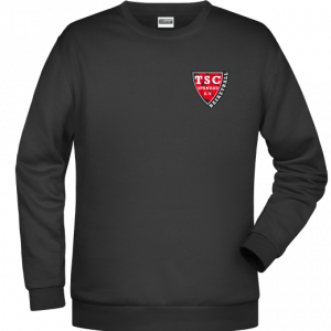 pulli-Basketball-logo