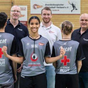 BBV Schiedsrichter Shirt grey mit DBB Patch